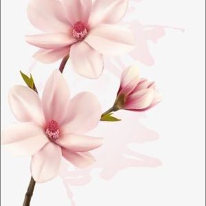 Meet your Posher, Eme